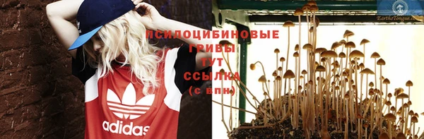 кокс Алзамай